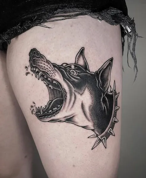 Animal, 상어