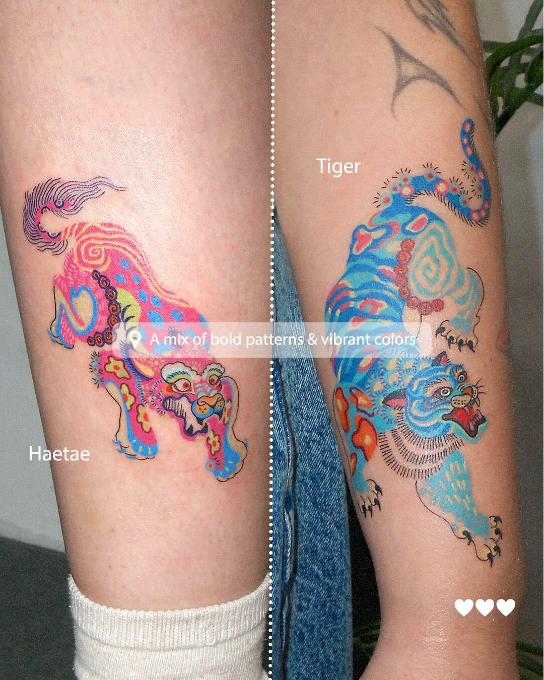 Animal, Tiger