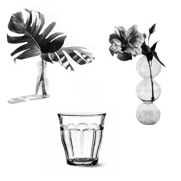 plantsnpokes