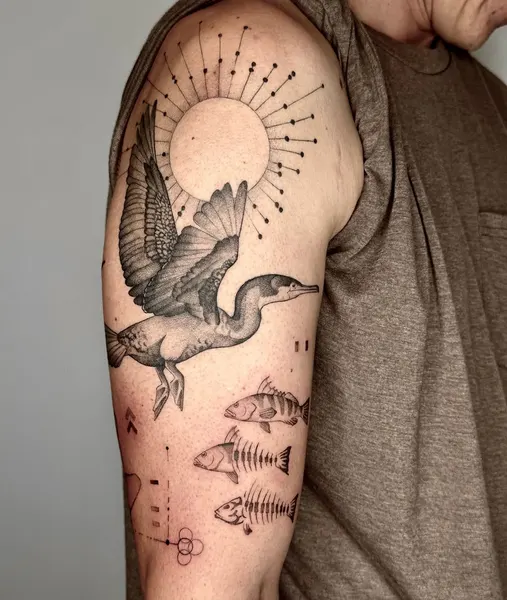 Animal, 문어, 메두사, 오징어, 크라켄