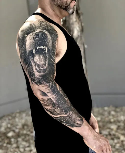 Animal, Tiger