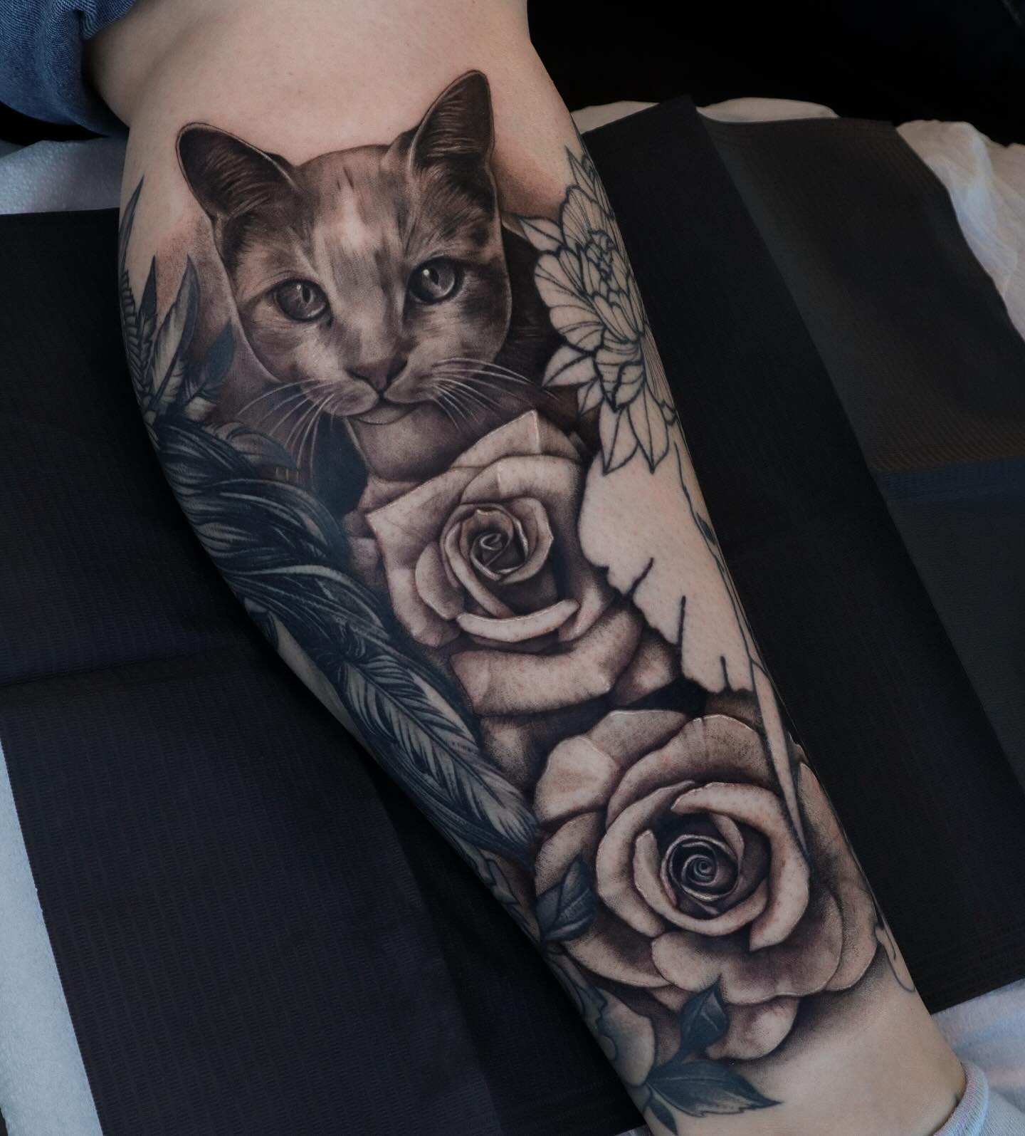 Animal