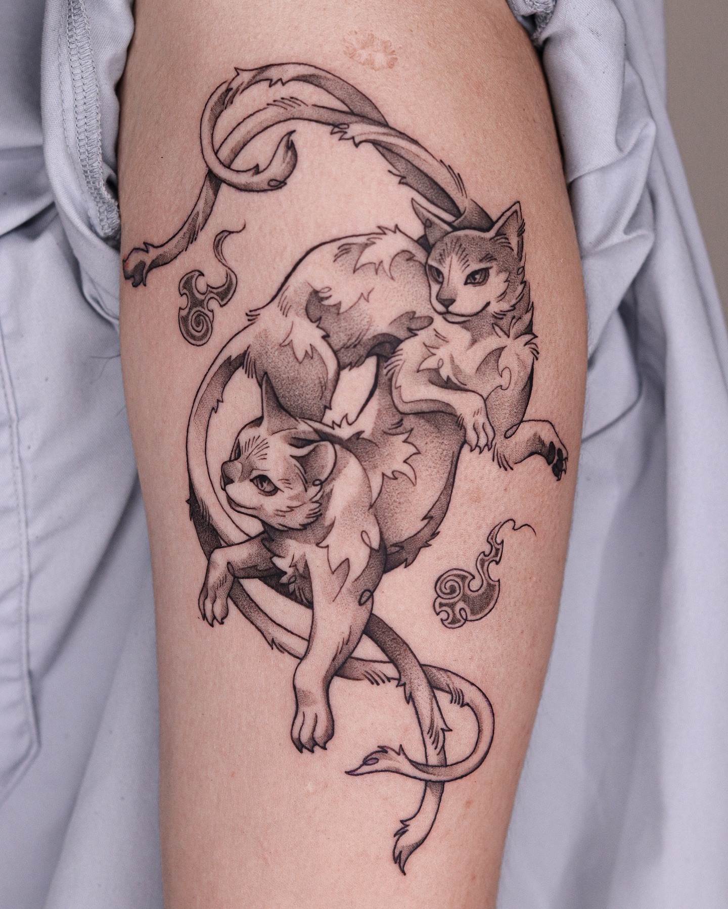 fawn.ink