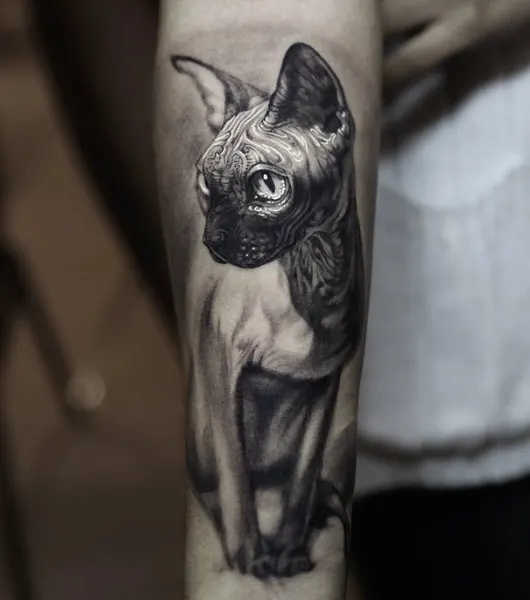 Animal