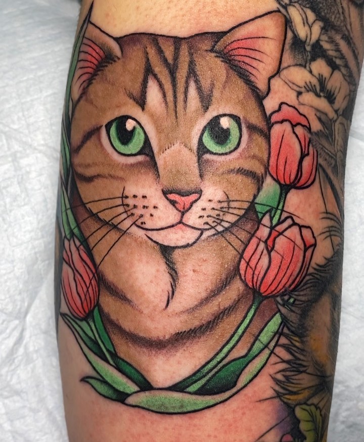 Animal