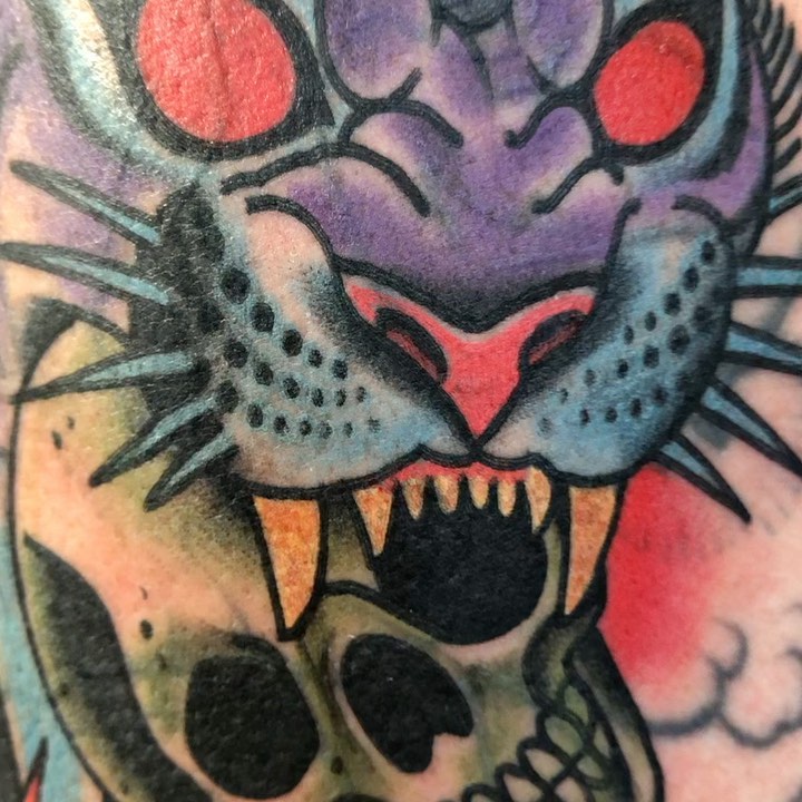 Tiger, Animal