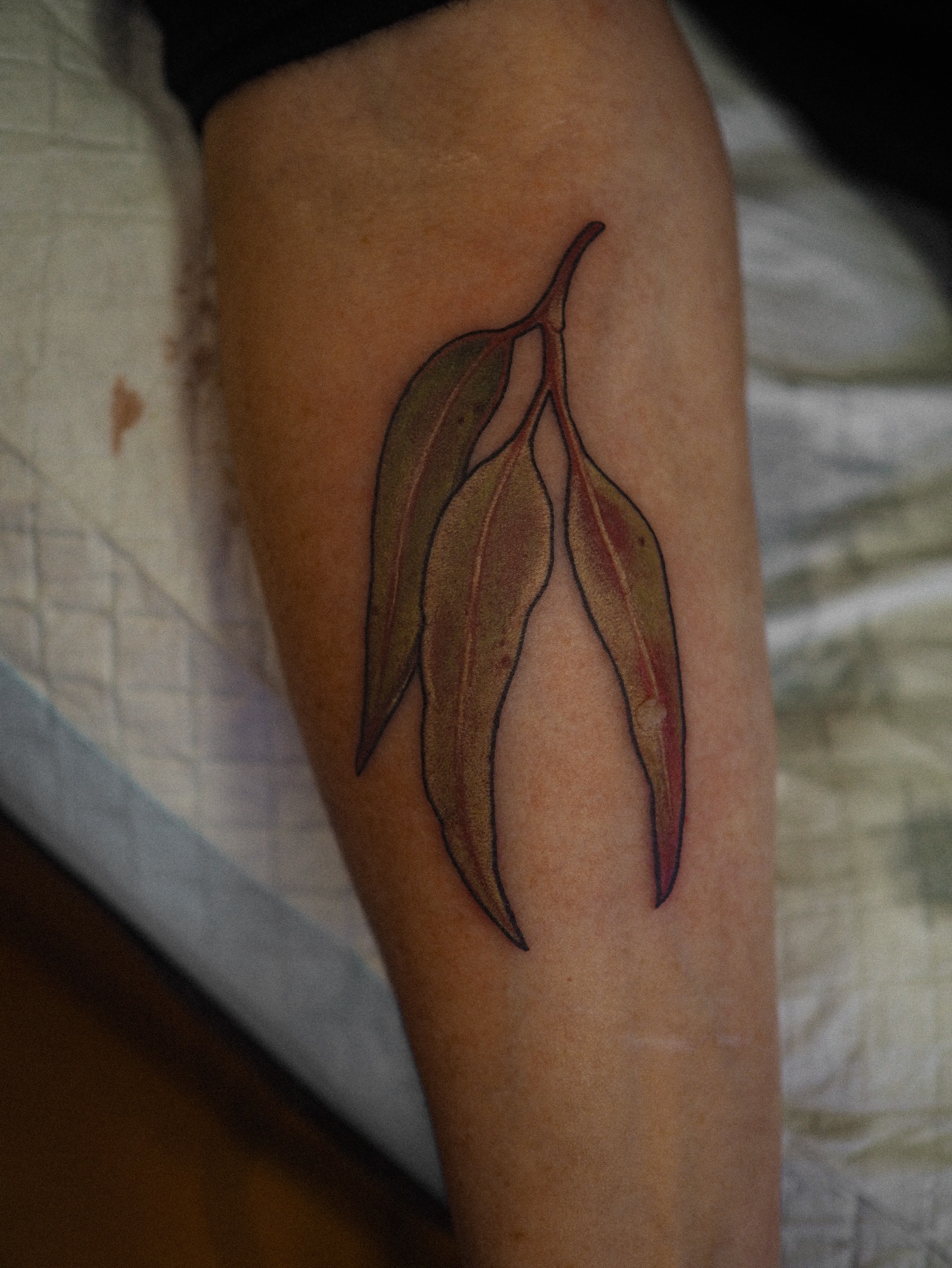 Flower, Rose, 풀