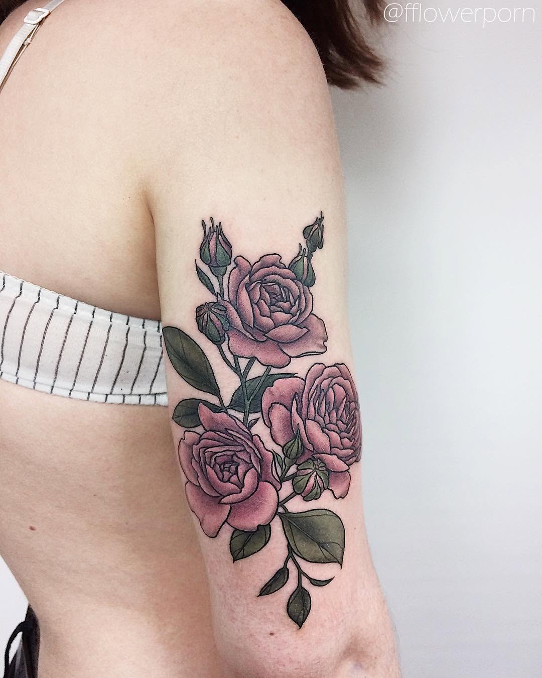 Flower, Rose, Nature