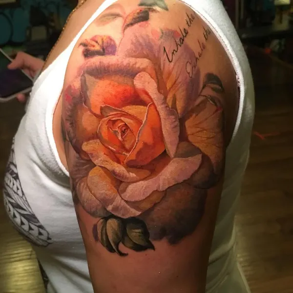 Flower, Rose, Nature