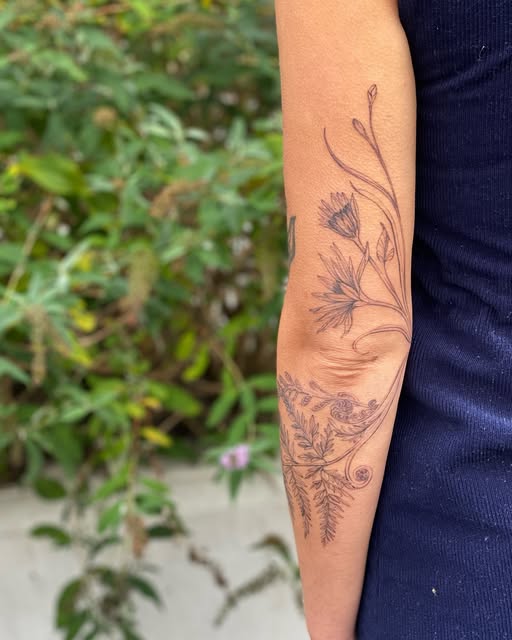 Flower, Rose