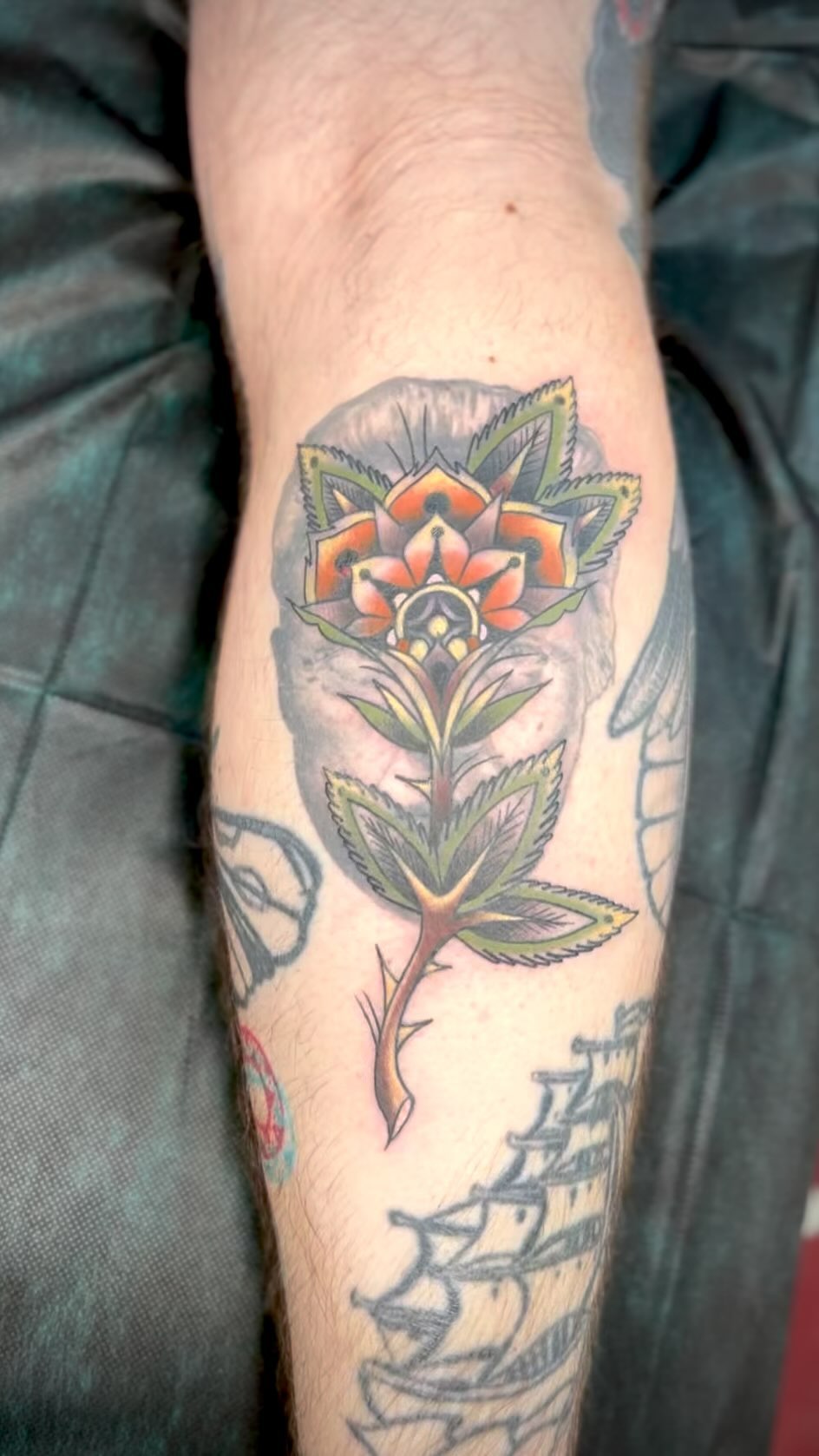 Flower, Rose