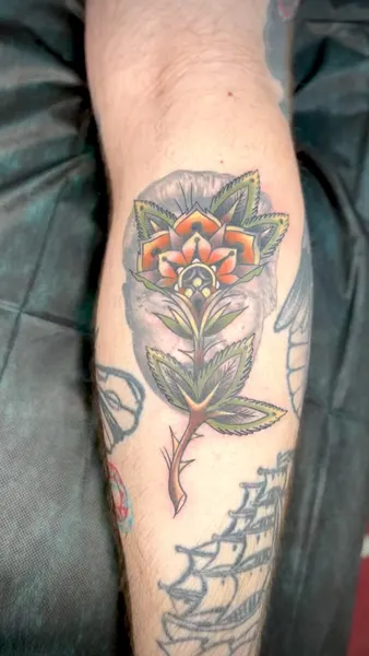 Flower, Rose