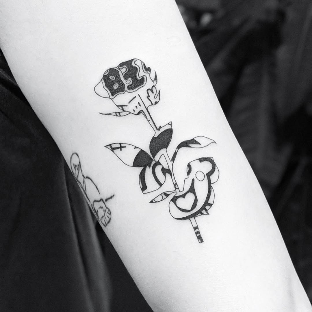 Flower, Rose