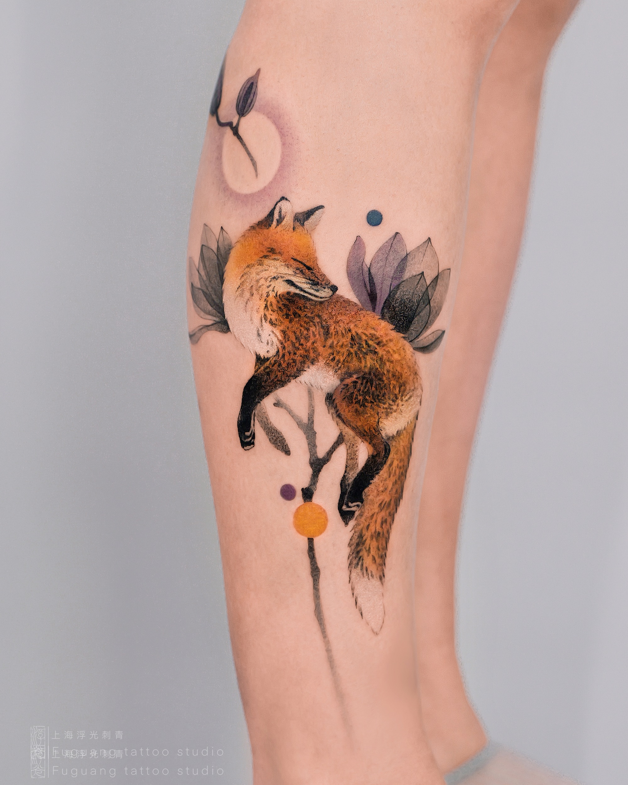 Animal, 여우