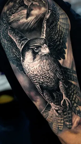 Animal