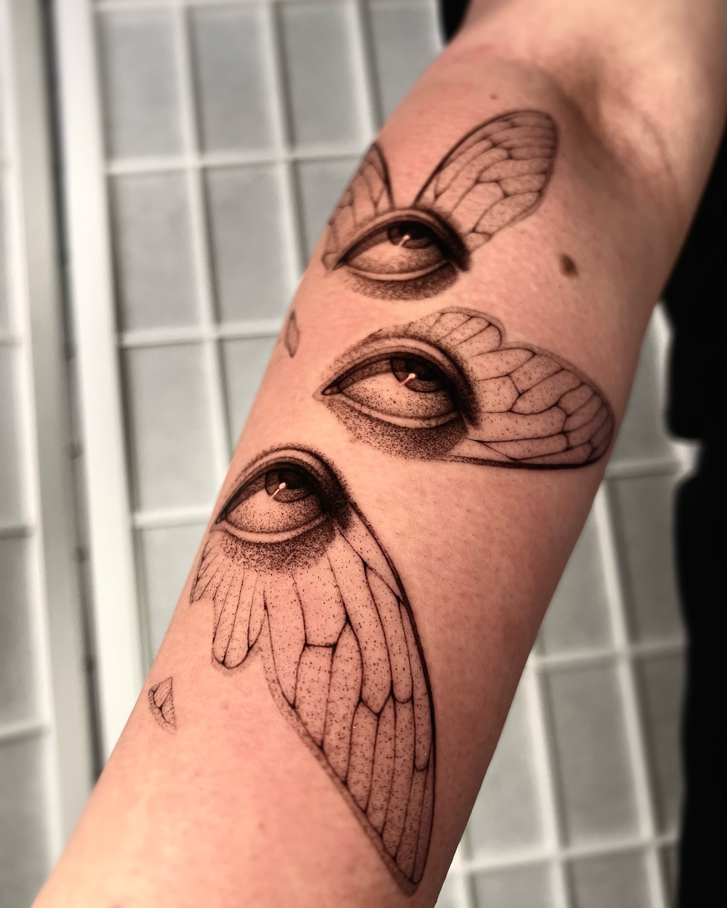 makar.tatt