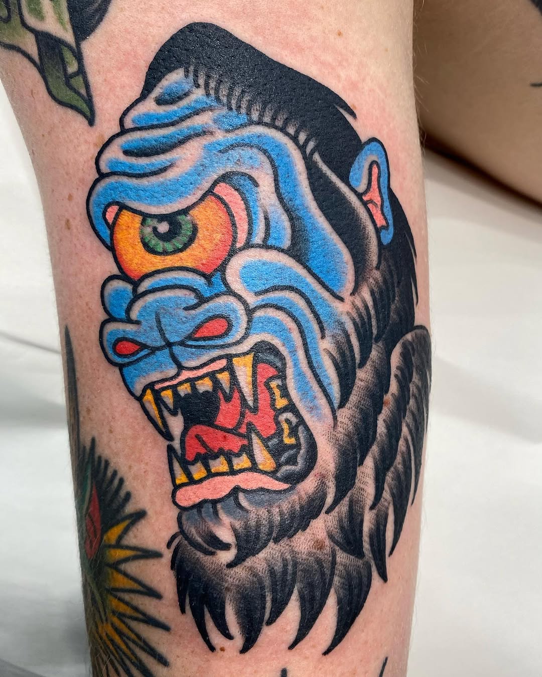 Animal, Tiger