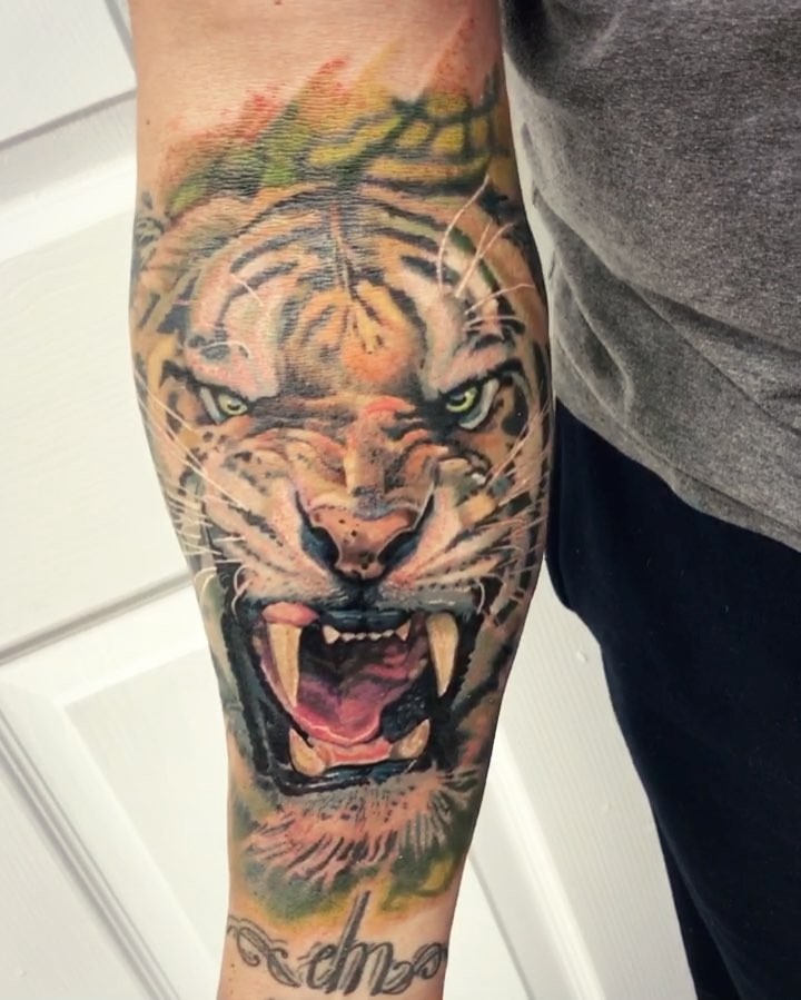 Tiger