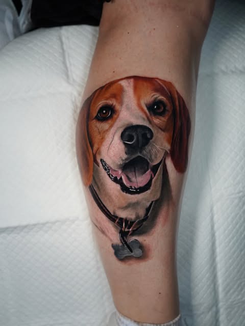Animal