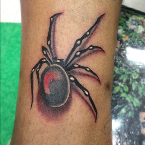 Animal