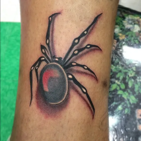 Animal