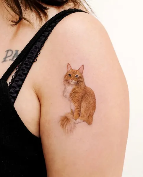 Animal, 고양이, 다람쥐, 카타나, 반려동물, 여우 가면, 텐구, 함사, 그리핀, 마네키네코, 반려동물 추모