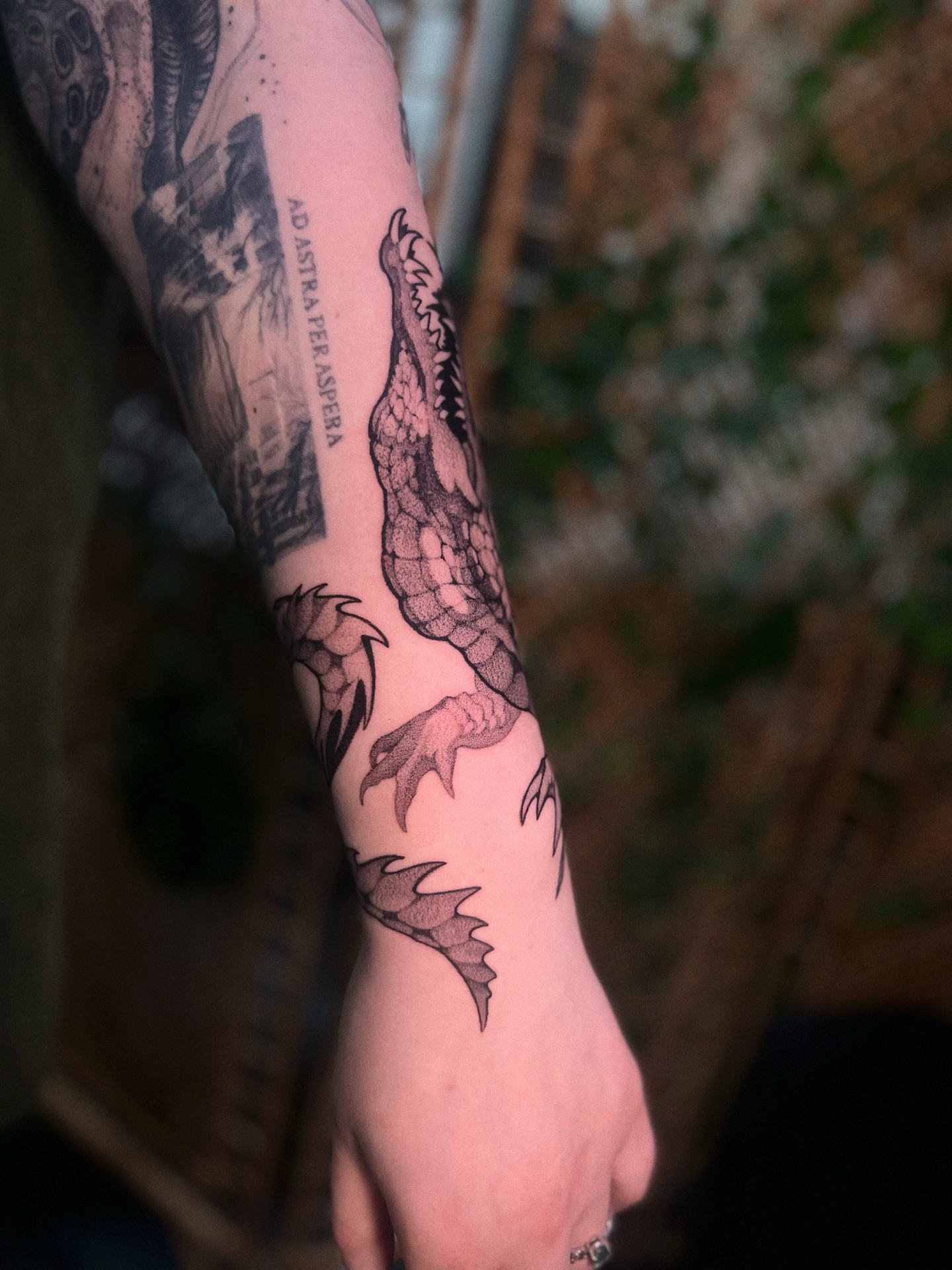 Dragon