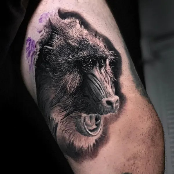 Tiger, Animal, 늑대, 늑대인간