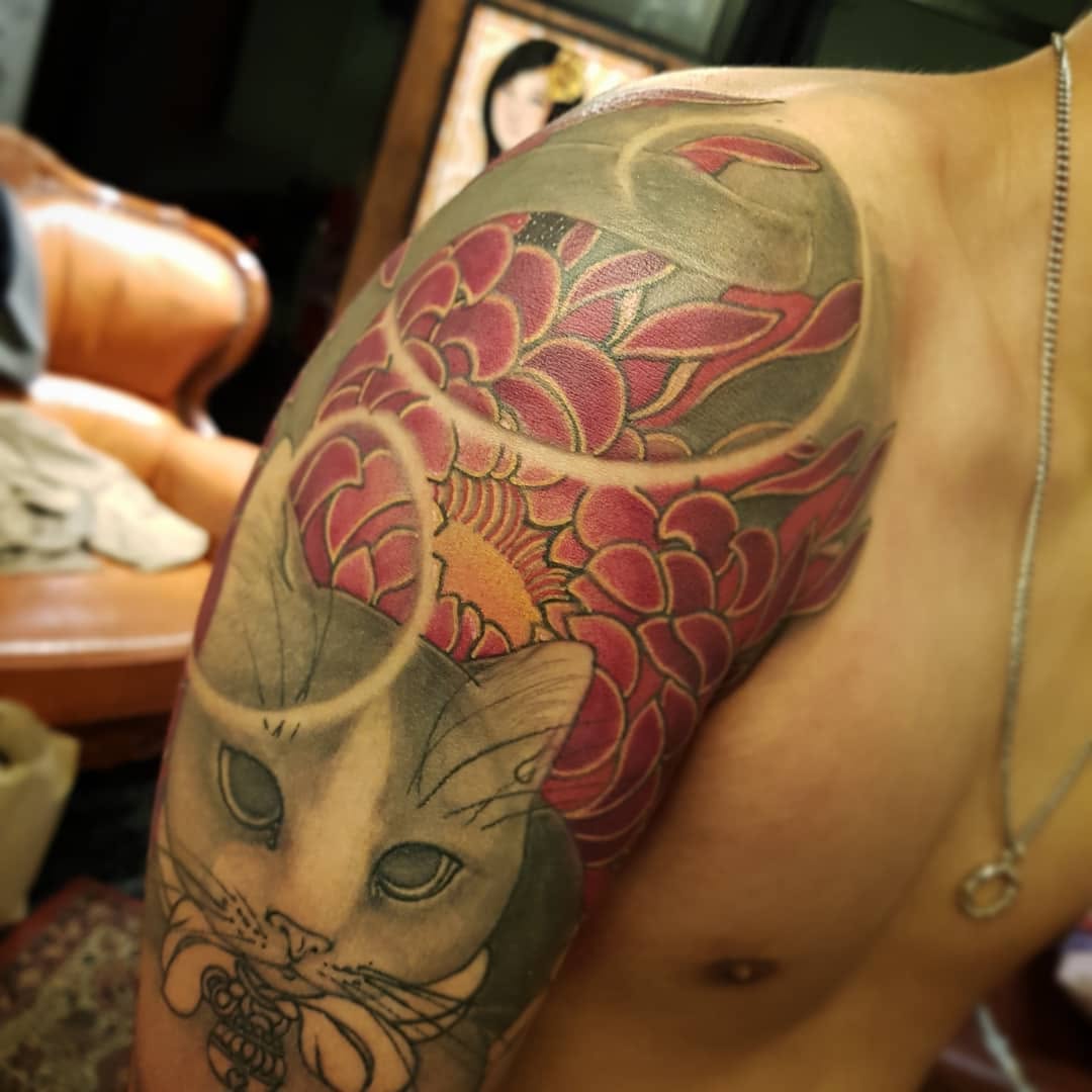 Animal