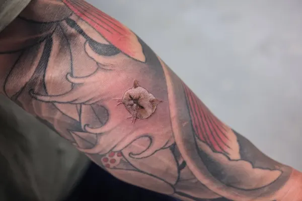 tattooist_yammy