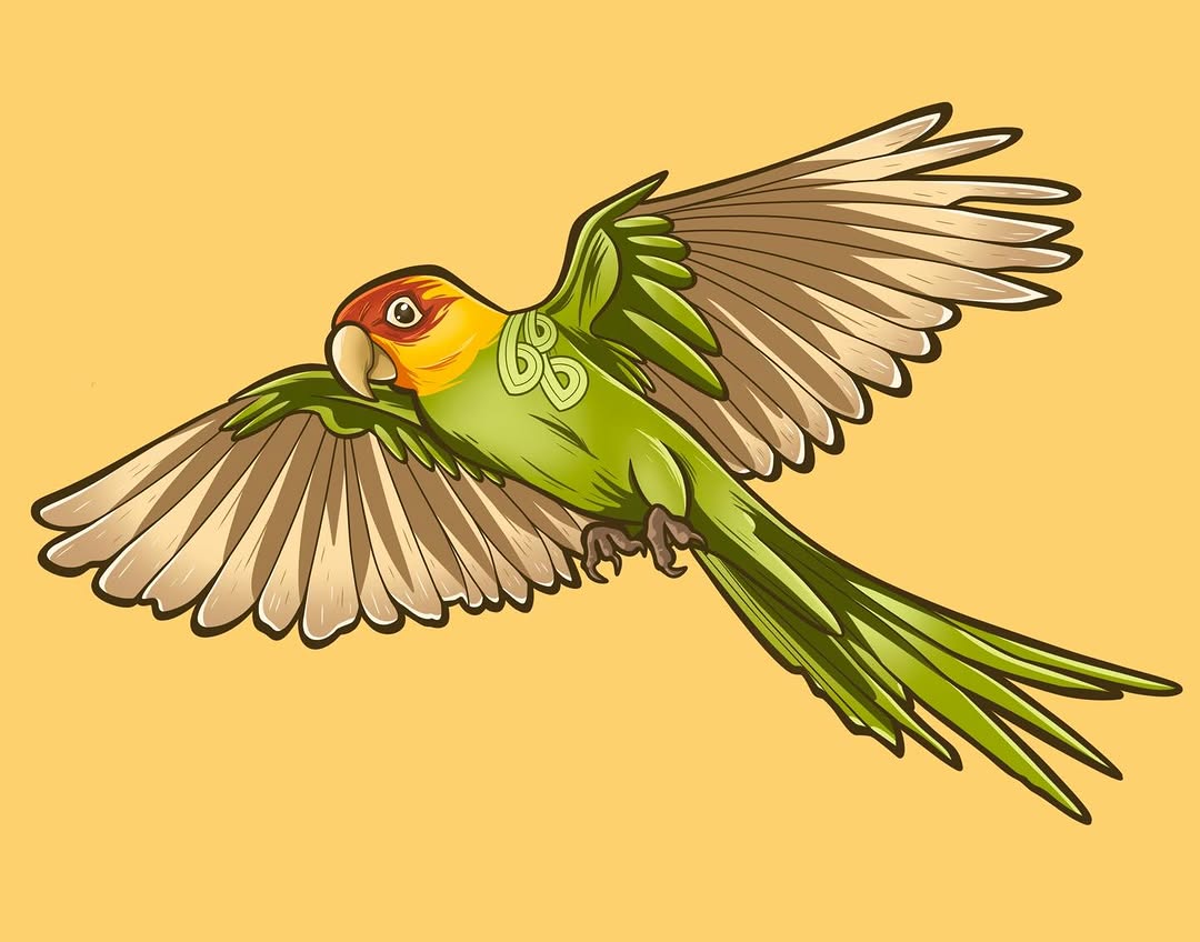 Animal, 앵무새, Nature, 공작