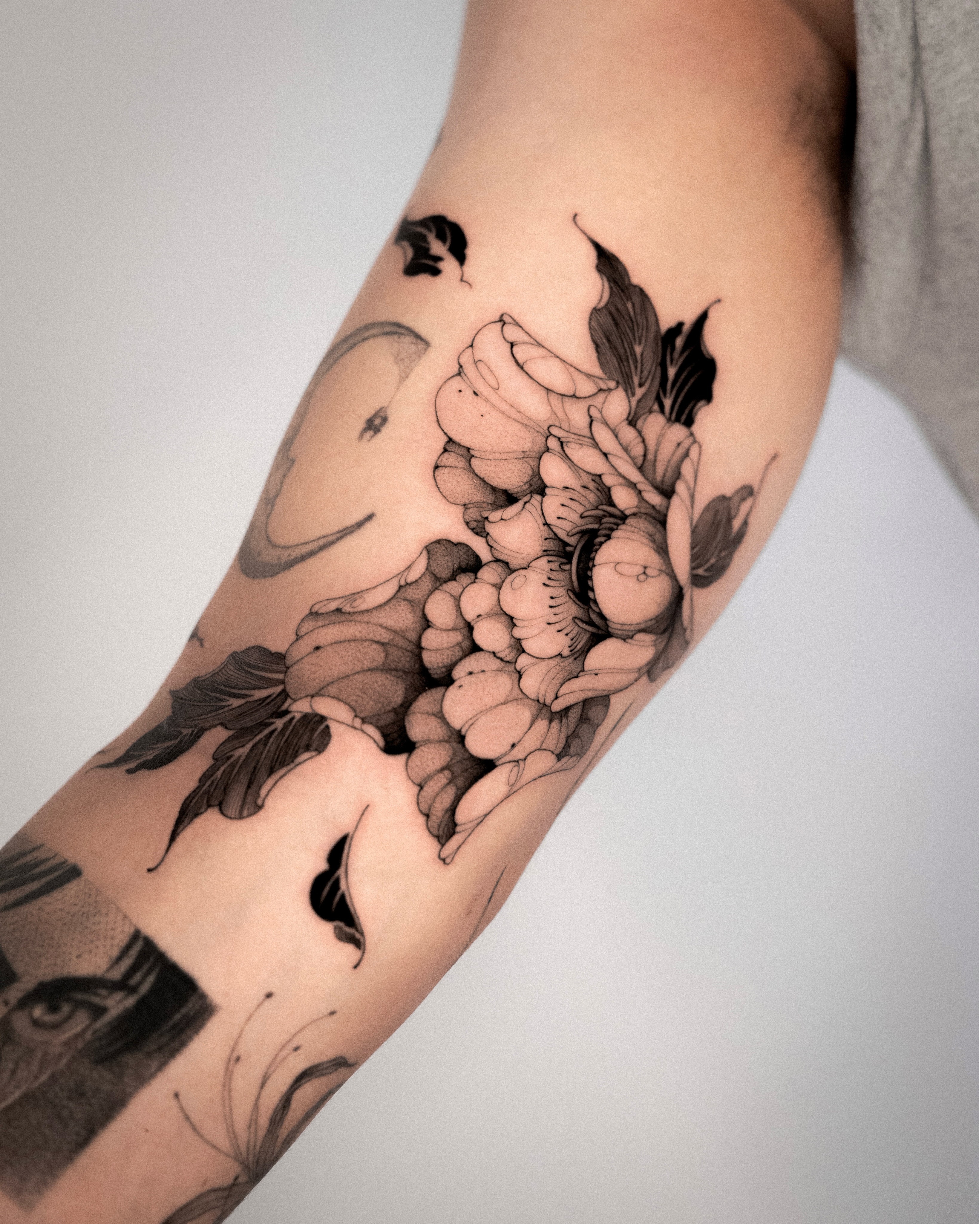 Rose, Flower