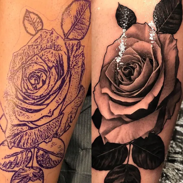 Flower, Rose