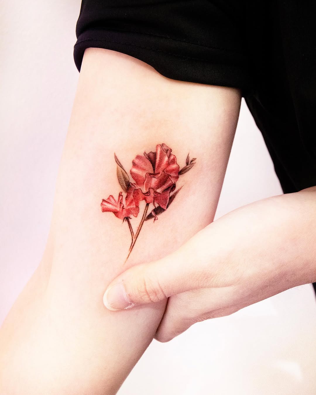Rose, Flower