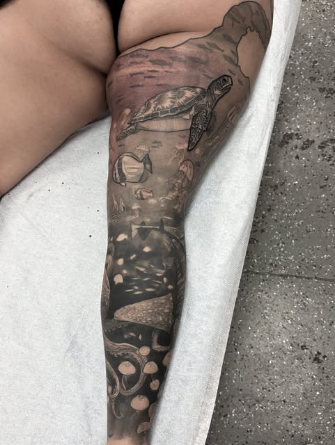 Animal, Dragon