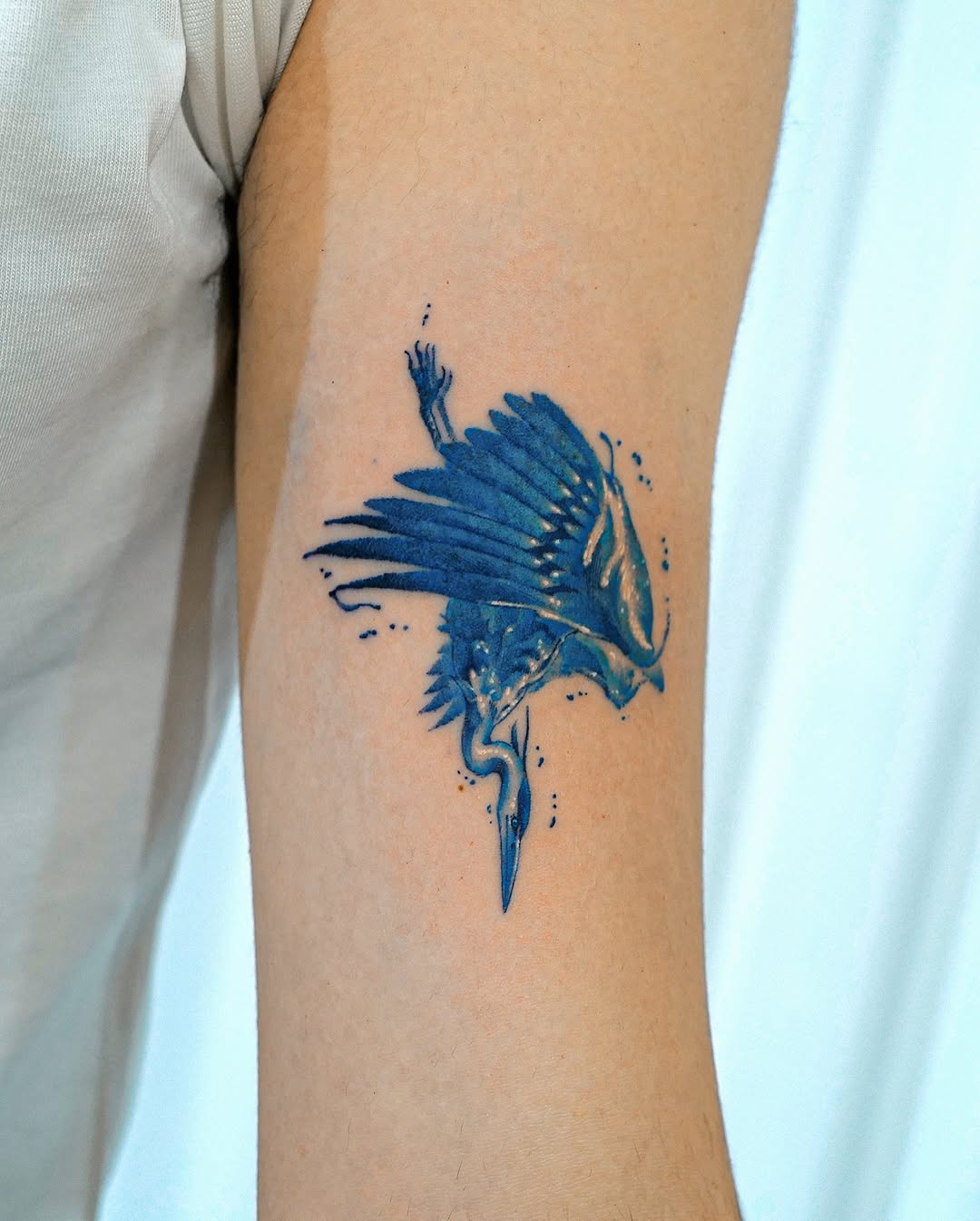 tattooist.inno