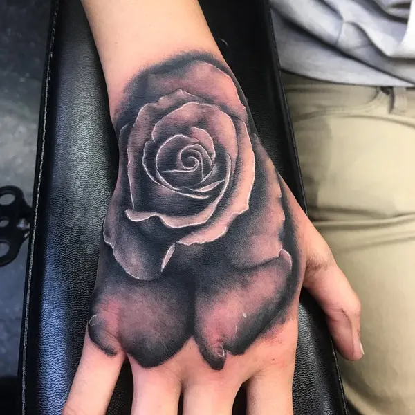 Flower, Rose