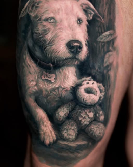 Animal