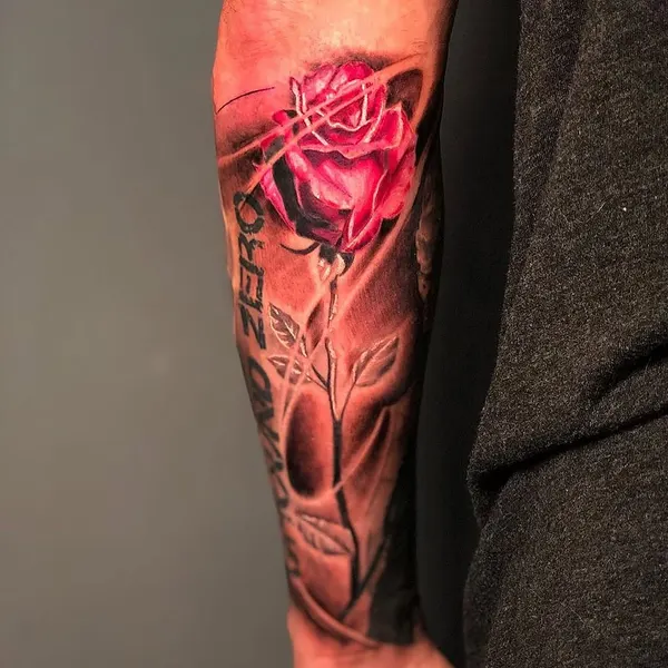 Flower, Rose
