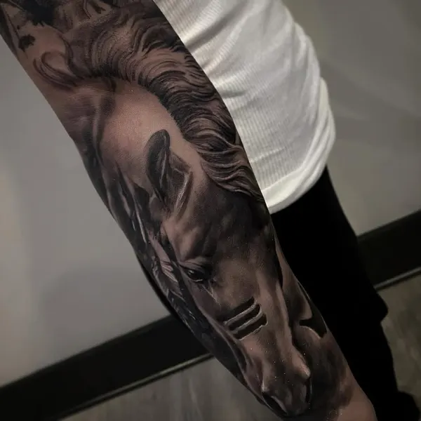 jp_alfonso