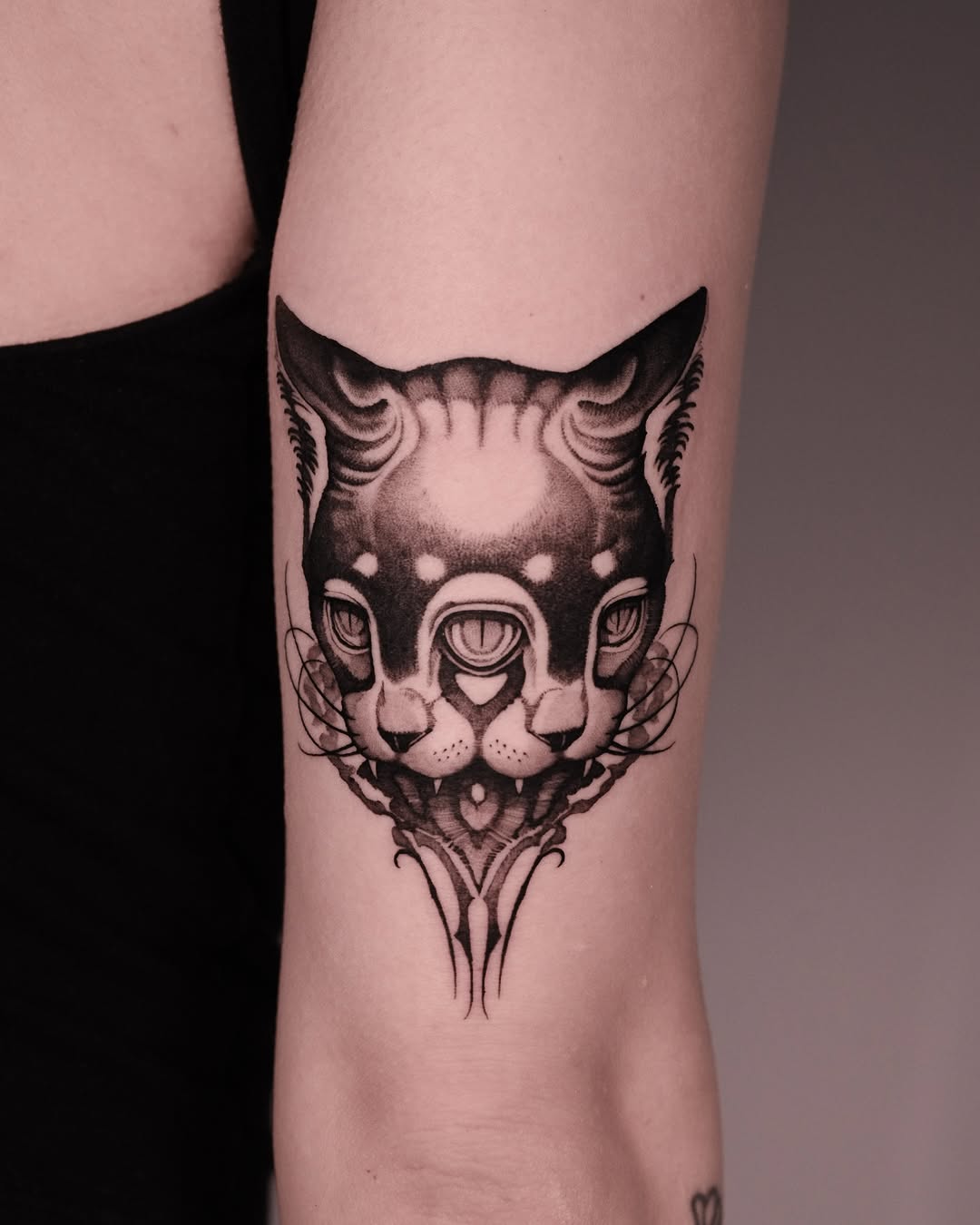 Animal, Tiger
