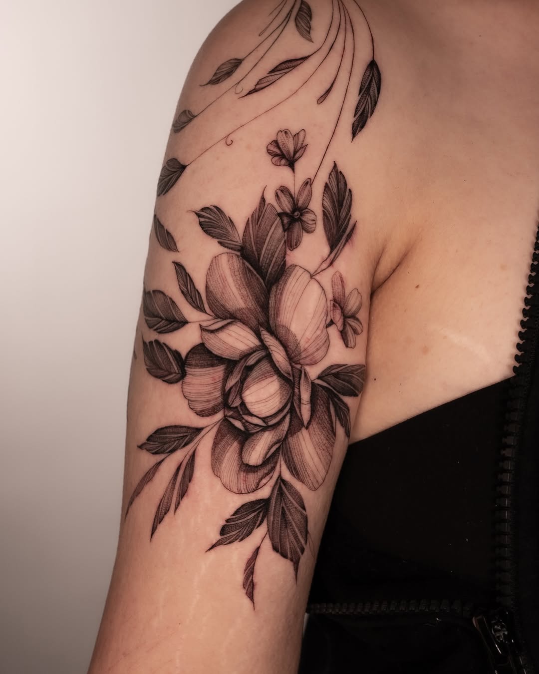 Flower, Rose, Nature