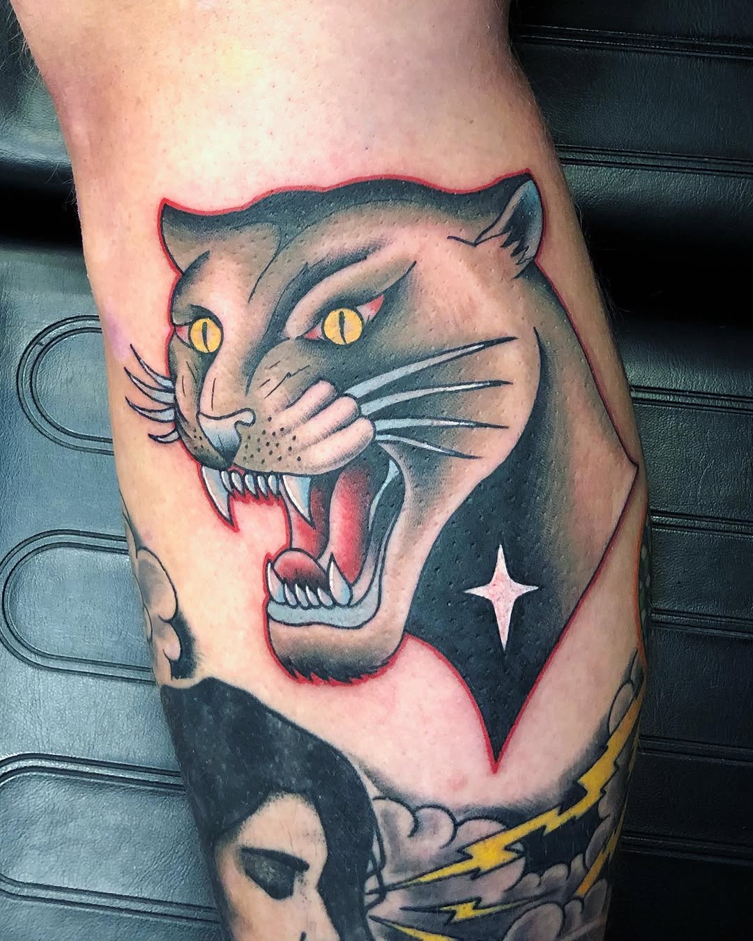 Animal, Tiger