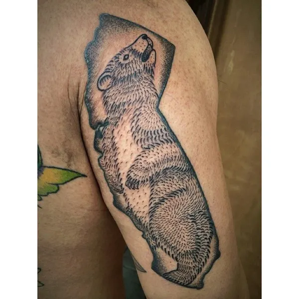 Animal