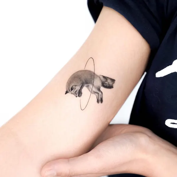 Animal, 함사, 거북이, 코끼리, 코알라, 나무늘보