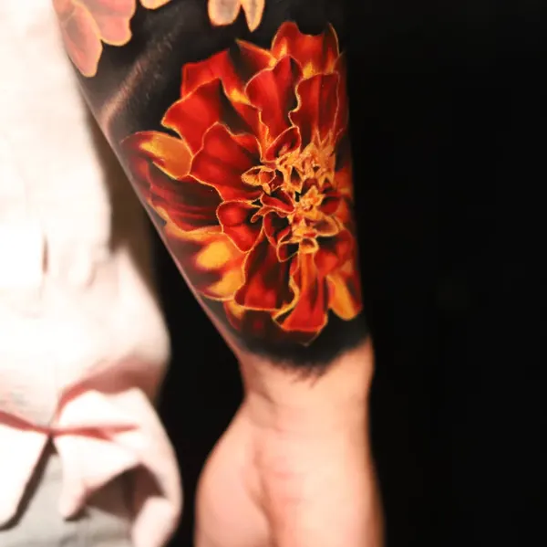 Flower, Rose