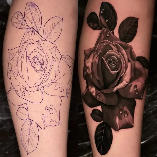 Flower, Rose