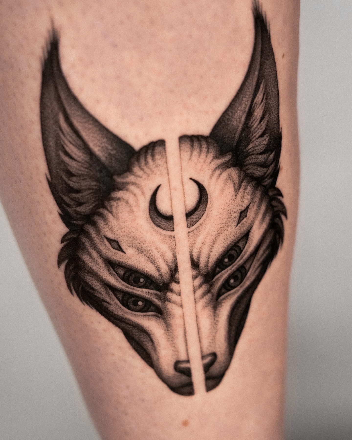 Animal