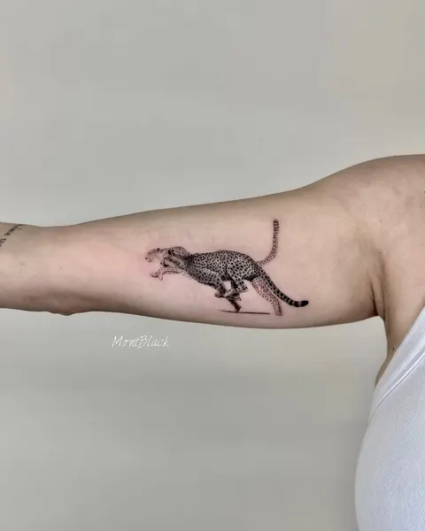 Animal, Tiger