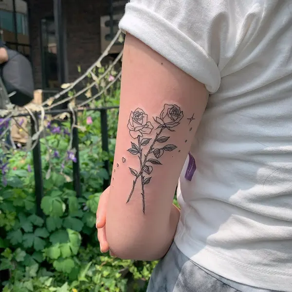 Flower, Rose
